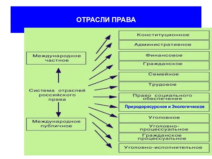 ОТРАСЛИ ПРАВА Природоресурсное и Экологическое