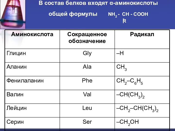 В состав белков входят α-аминокислоты общей формулы NH2 - CH - COOH R