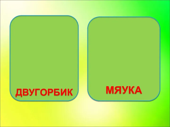 ДВУГОРБИК МЯУКА