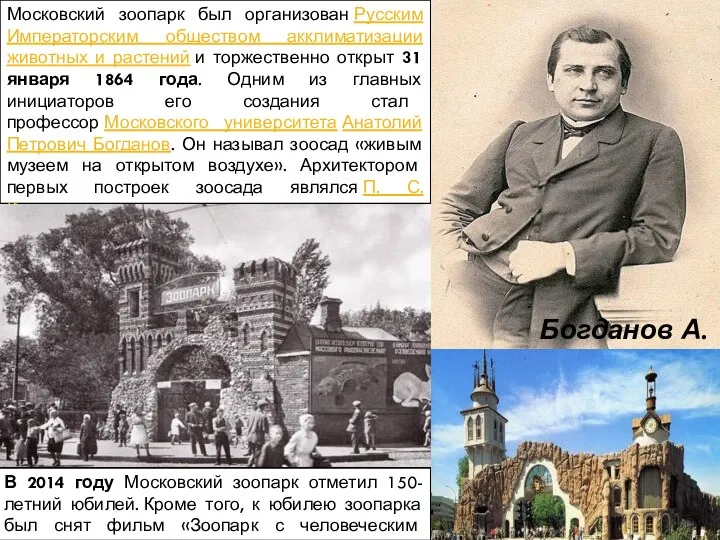 Московский зоопарк был организован Русским Императорским обществом акклиматизации животных и