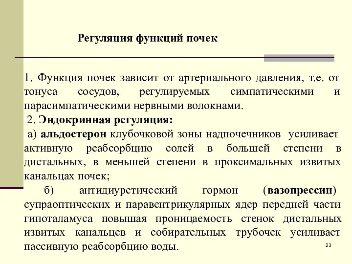 1. Функция почек зависит от артериального давления, т.е. от тонуса