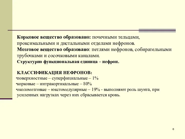 Корковое вещество образовано: почечными тельцами, проксимальными и дистальными отделами нефронов.