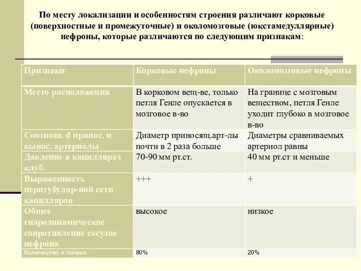 По месту локализации и особенностям строения различают корковые (поверхностные и