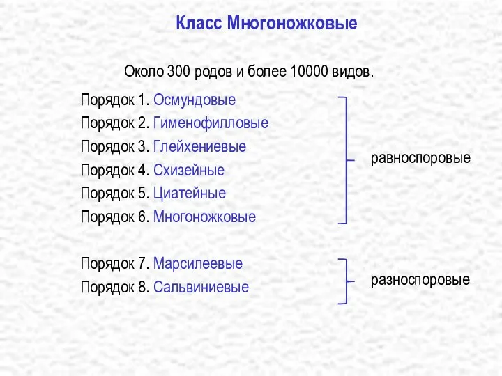 Класс Многоножковые Около 300 родов и более 10000 видов. Порядок