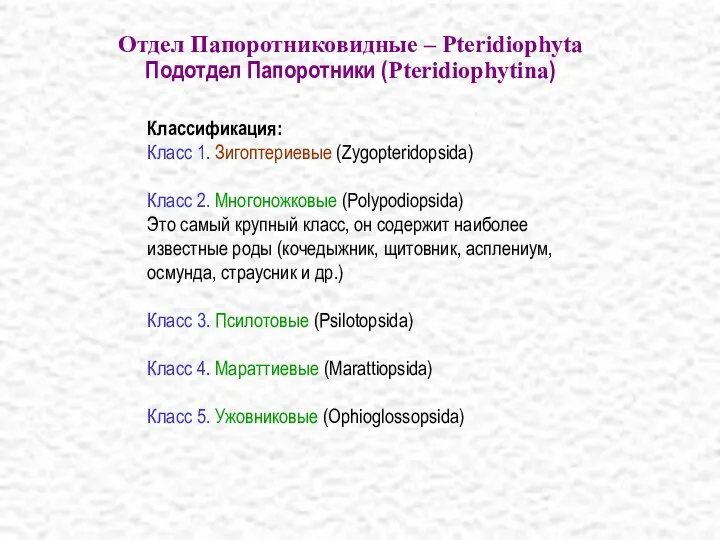 Классификация: Класс 1. Зигоптериевые (Zygopteridopsida) Класс 2. Многоножковые (Polypodiopsida) Это