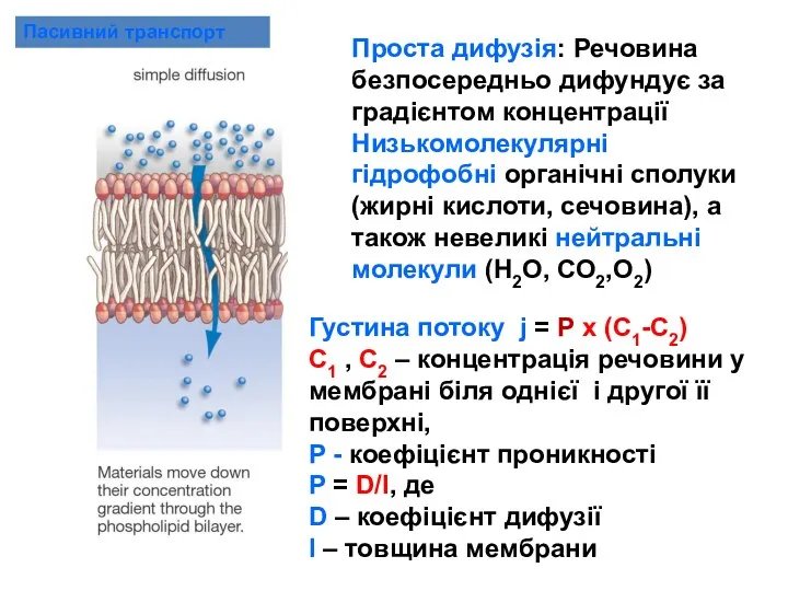 Пасивний транспорт