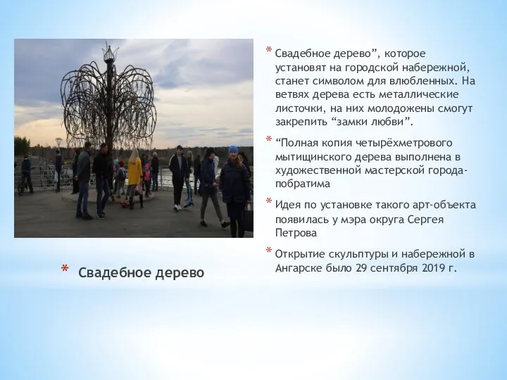 Свадебное дерево Свадебное дерево”, которое установят на городской набережной, станет