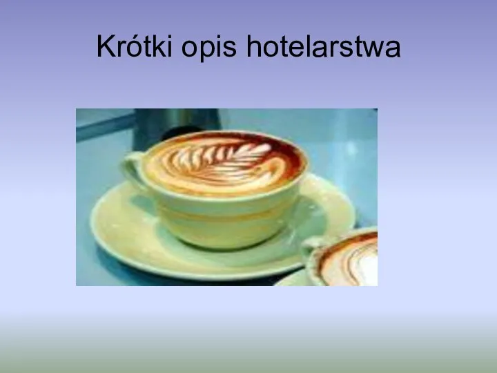 Krótki opis hotelarstwa