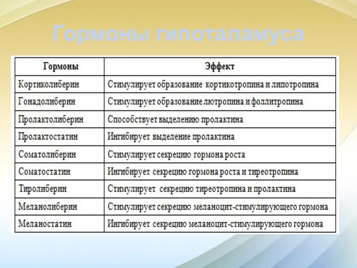 Гормоны гипоталамуса