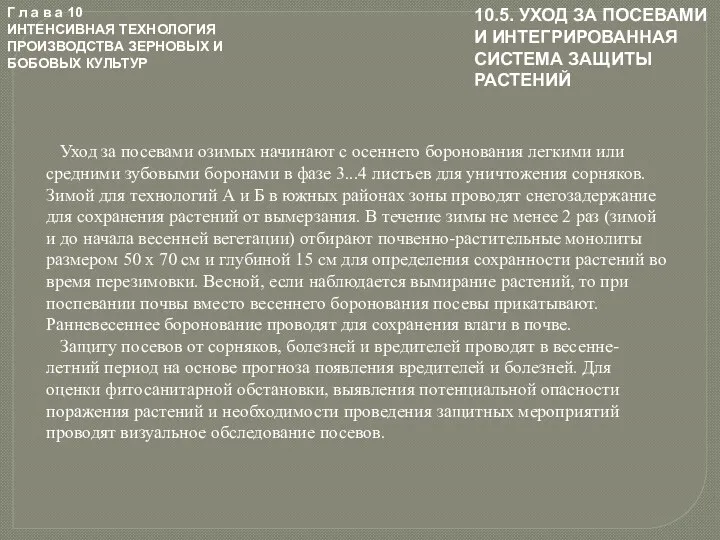 Г л а в а 10 ИНТЕНСИВНАЯ ТЕХНОЛОГИЯ ПРОИЗВОДСТВА ЗЕРНОВЫХ