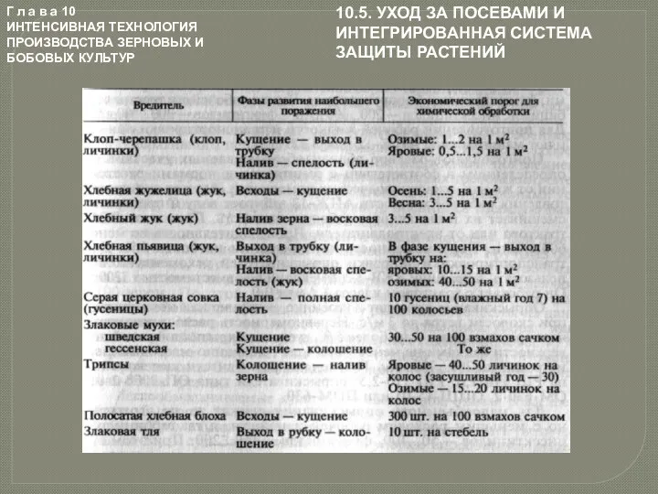 Г л а в а 10 ИНТЕНСИВНАЯ ТЕХНОЛОГИЯ ПРОИЗВОДСТВА ЗЕРНОВЫХ