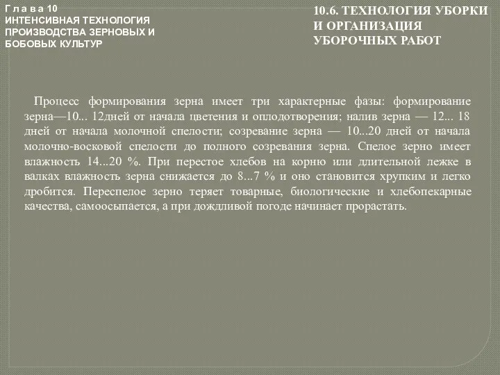 Г л а в а 10 ИНТЕНСИВНАЯ ТЕХНОЛОГИЯ ПРОИЗВОДСТВА ЗЕРНОВЫХ