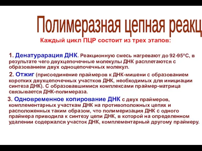 Каждый цикл ПЦР состоит из трех этапов: 1. Денатурарация ДНК.