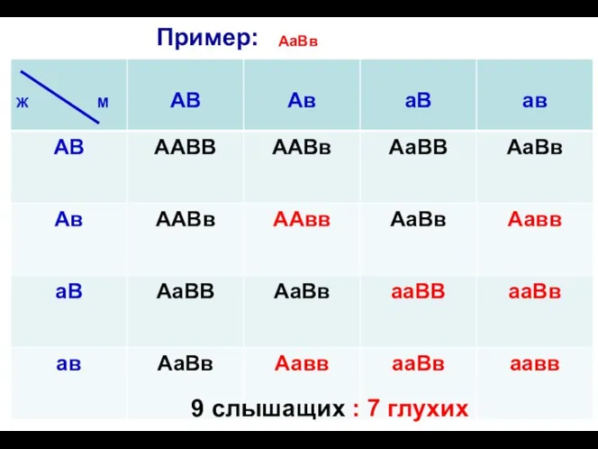 9 слышащих : 7 глухих Пример: АаВв