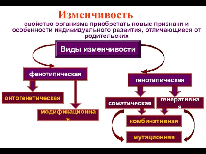 Изменчивость свойство организма приобретать новые признаки и особенности индивидуального развития,