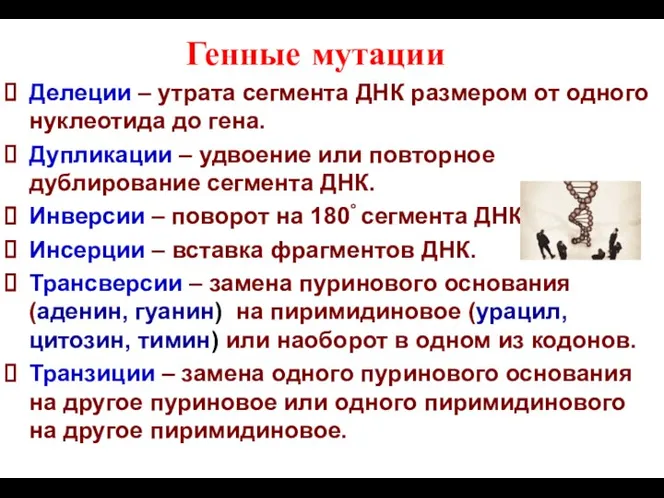 Генные мутации Делеции – утрата сегмента ДНК размером от одного