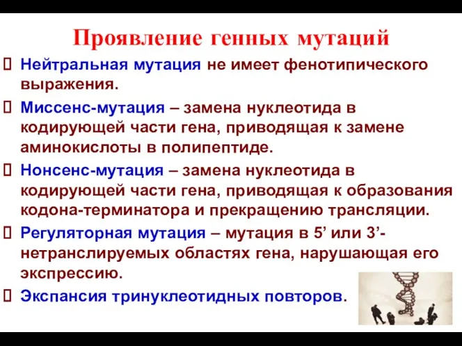 Проявление генных мутаций Нейтральная мутация не имеет фенотипического выражения. Миссенс-мутация