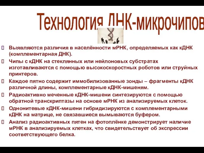 Выявляются различия в населённости мРНК, определяемых как кДНК (комплементарная ДНК).