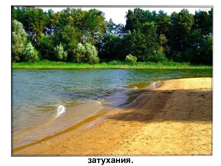 Берег водохранилища. Стадия затухания.