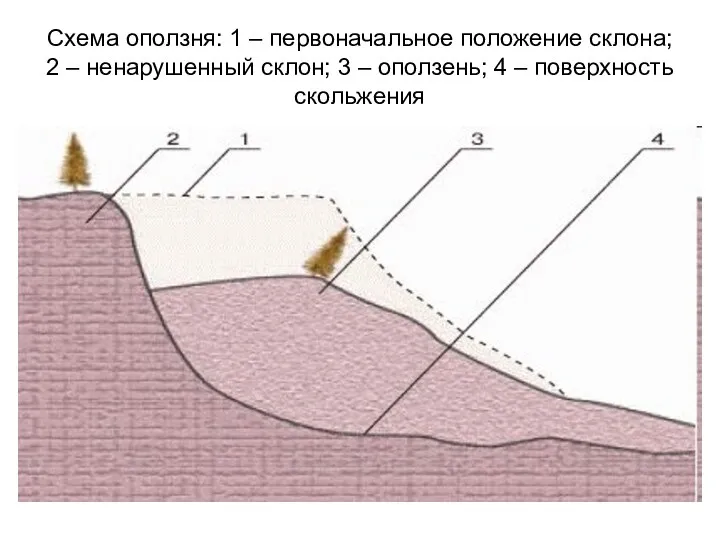 Схема оползня: 1 – первоначальное положение склона; 2 – ненарушенный