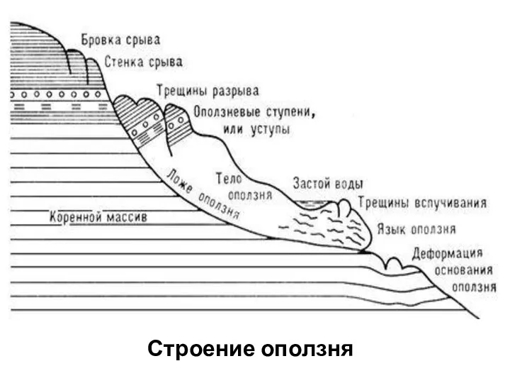 Строение оползня