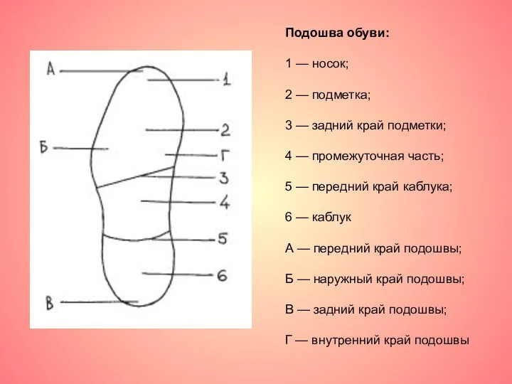 Подошва обуви: 1 — носок; 2 — подметка; 3 — задний край подметки;