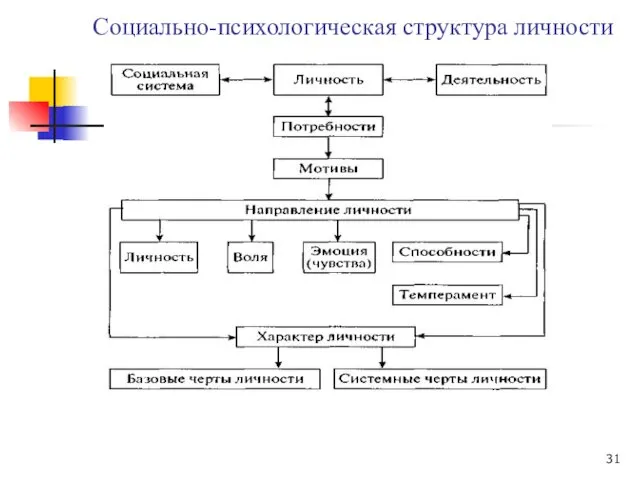 Социально-психологическая структура личности