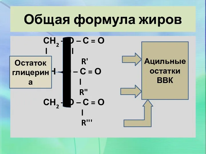 Общая формула жиров СН2 – О – С = О