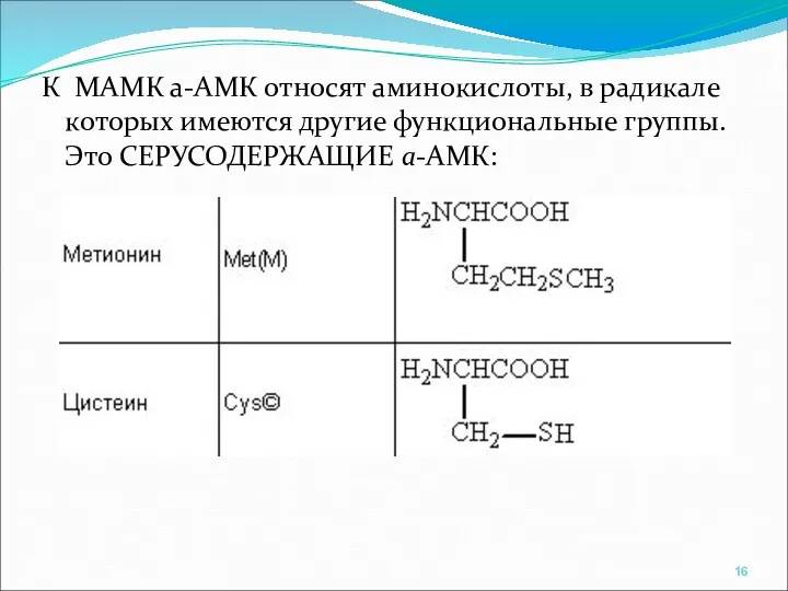 К МАМК а-АМК относят аминокислоты, в радикале которых имеются другие функциональные группы. Это СЕРУСОДЕРЖАЩИЕ а-АМК: