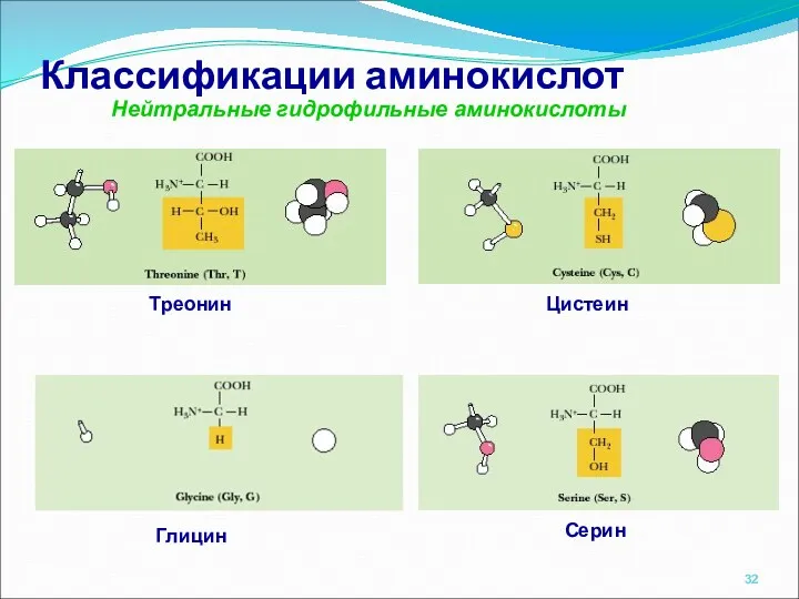 Классификации аминокислот Нейтральные гидрофильные аминокислоты Глицин Серин Треонин Цистеин