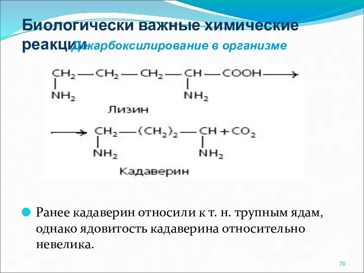 Биологически важные химические реакции Ранее кадаверин относили к т. н.