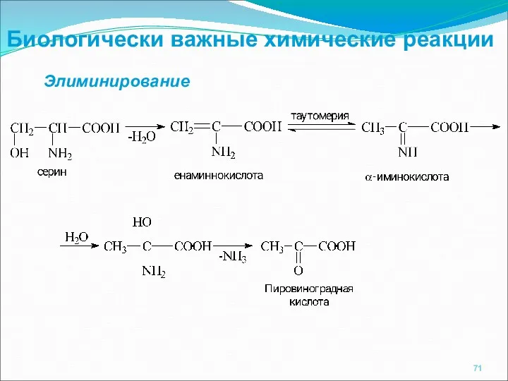 Биологически важные химические реакции Элиминирование