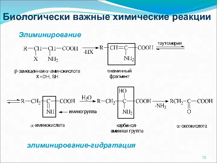 Биологически важные химические реакции Элиминирование элиминирование-гидратация