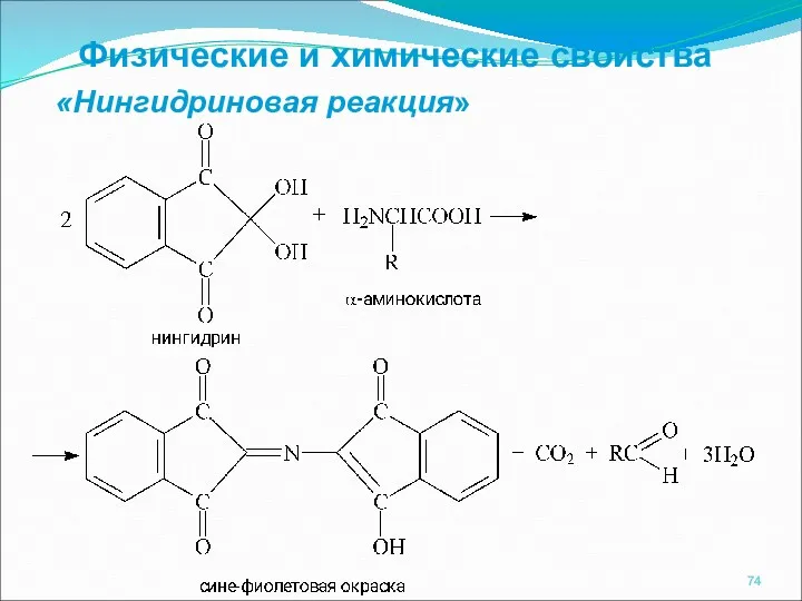 «Нингидриновая реакция» Физические и химические свойства