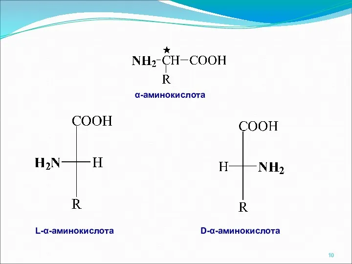 α-аминокислота L-α-аминокислота D-α-аминокислота
