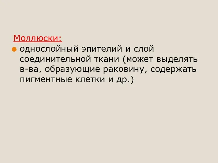 Моллюски: однослойный эпителий и слой соединительной ткани (может выделять в-ва,