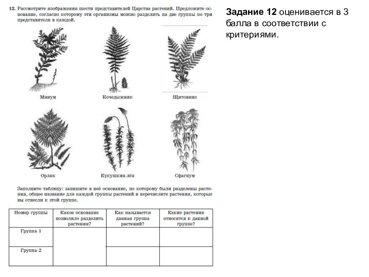 Задание 12 оценивается в 3 балла в соответствии с критериями.
