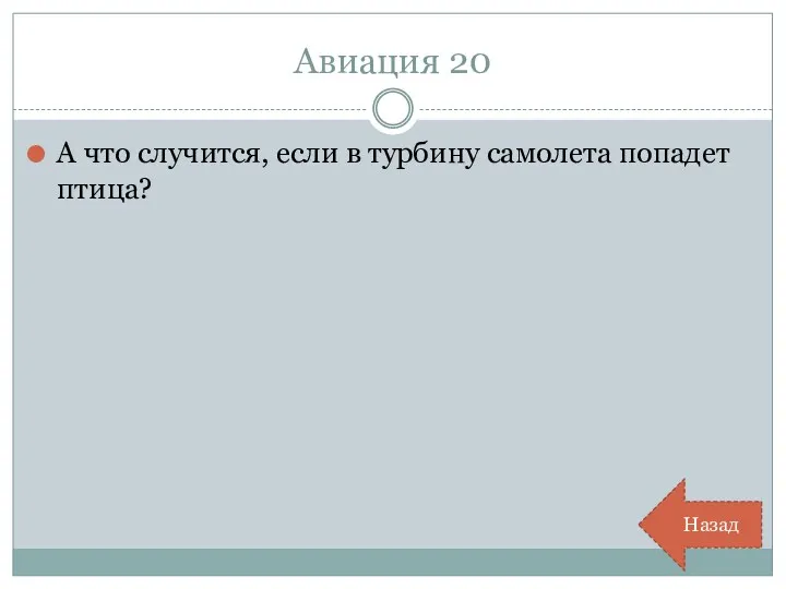 Авиация 20 А что случится, если в турбину самолета попадет птица? Назад