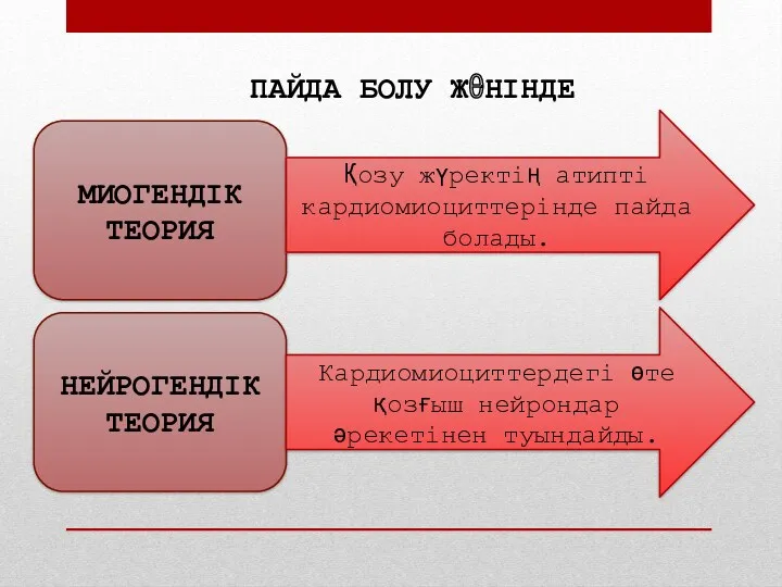 ПАЙДА БОЛУ ЖӨНІНДЕ МИОГЕНДІК ТЕОРИЯ Қозу жүректің атипті кардиомиоциттерінде пайда