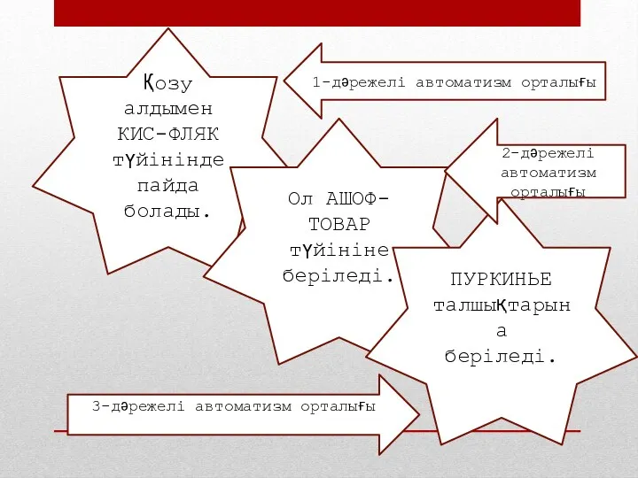 Қозу алдымен КИС-ФЛЯК түйінінде пайда болады. Ол АШОФ-ТОВАР түйініне беріледі.