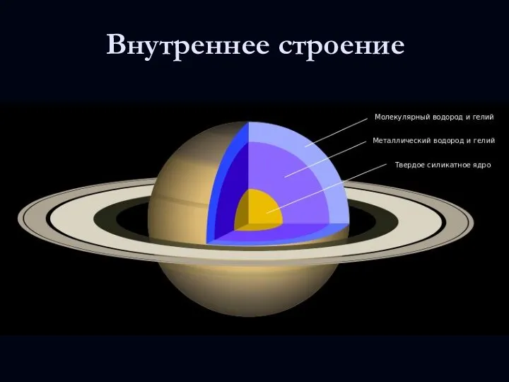 Внутреннее строение