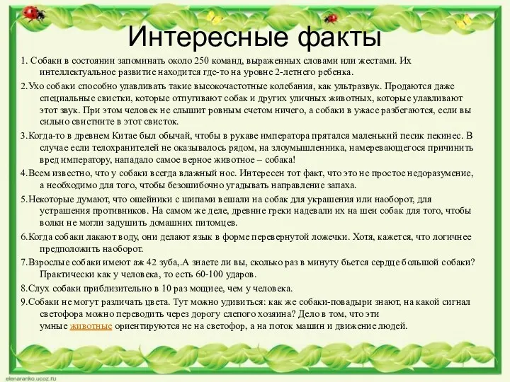 Интересные факты 1. Собаки в состоянии запоминать около 250 команд,