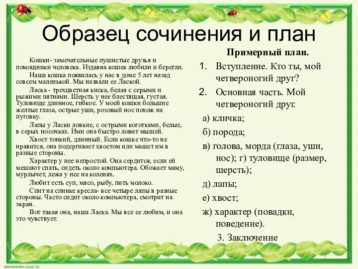 Образец сочинения и план Кошки- замечательные пушистые друзья и помощники