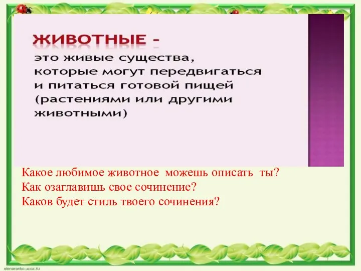 1.Любите ли вы кошек?Есть ли у вас дома? 2.Могут ли