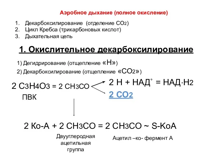 Аэробное дыхание (полное окисление) Декарбоксилирование (отделение СО2) Цикл Кребса (трикарбоновых