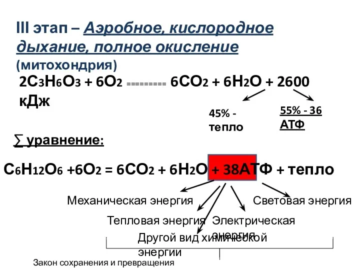 ІІІ этап – Аэробное, кислородное дыхание, полное окисление (митохондрия) 2С3Н6О3 + 6О2 =========