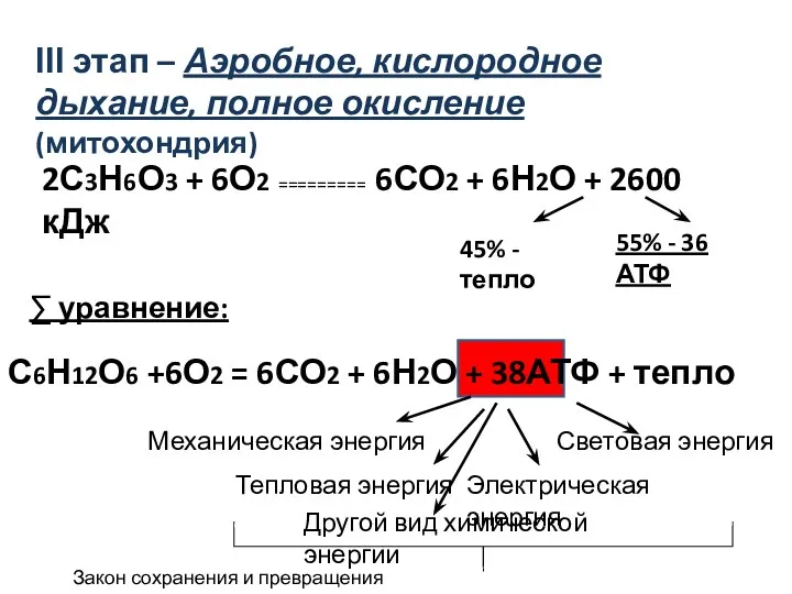 ІІІ этап – Аэробное, кислородное дыхание, полное окисление (митохондрия) 2С3Н6О3