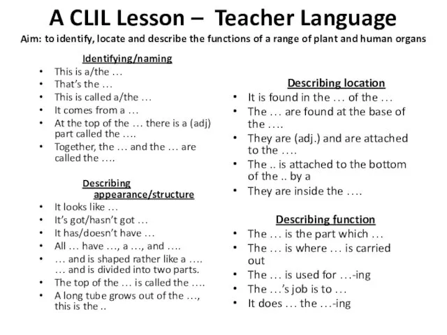 A CLIL Lesson – Teacher Language Aim: to identify, locate
