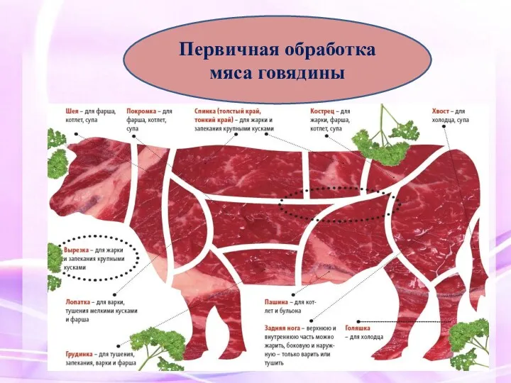 Первичная обработка мяса говядины