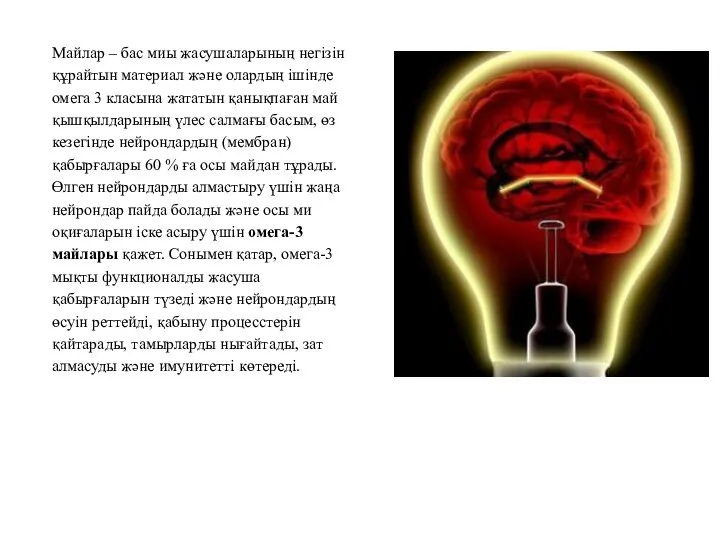 Майлар – бас миы жасушаларының негізін құрайтын материал және олардың